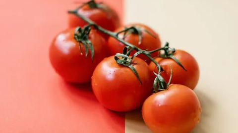 Pomidorning ko‘pchilikka noma’lum 7 ta foydali xususiyati