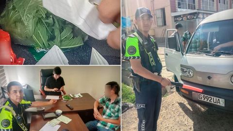 Қибрайда ҳайдовчининг Damas машинасидан марихуана топилди