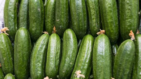 O‘zbekistonda bodring narxi arzonladi