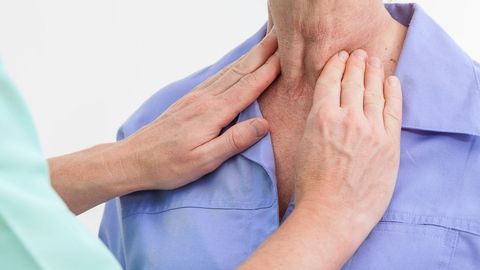 Zaharli buqoq nima va u qanchalik xavfli? SSV mutaxassisi bu haqda ma’lumot berdi