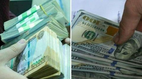 Sirdaryoda MCHJ rahbari fuqarolarning salkam 300 mln so‘mini olib, pullarni ishlatib yuborgani aniqlandi