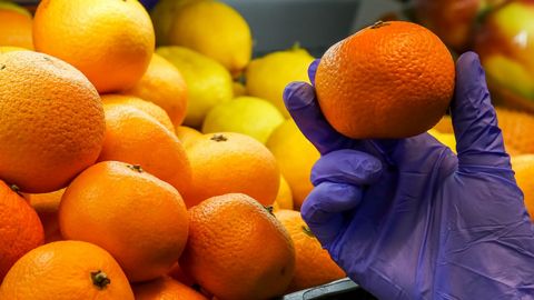 O‘zbekiston Turkiyadan asosan qanday turdagi oziq-ovqat mahsulotlarini import qilishi ma’lum bo‘ldi