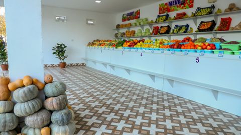 O‘zbekiston 7 oyda qancha meva va sabzavot eksport qilgani ma’lum bo‘ldi