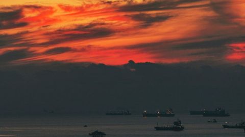 Августда 36 та кема Украина портларидан 746 минг тоннадан ортиқ озиқ-овқат олиб чиқди