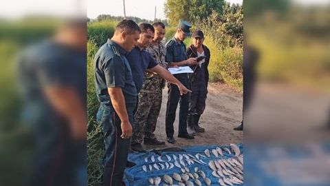 Наманганда Қизил китобга киритилган балиқларни овлаган шахслар ушланди