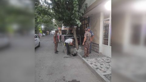 Сирдарёда бозорча ҳудудидаги дарахтларнинг таг қисми бетонлаб ташлангани аниқланди