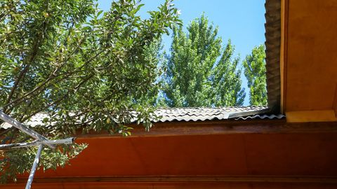 Ўзбекистонда 5 август куни 39 даражагача иссиқ бўлади