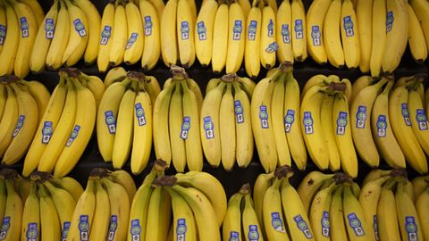 Afrikaning oziq-ovqat xavfsizligi tahdid ostida &mdash; banan plantatsiyalari zamburug&lsquo; bilan zararlanmoqda
