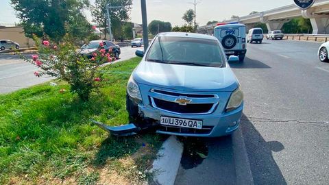 Тошкентда Cobalt дарахтга бориб урилди. Ҳайдовчи вафот этди