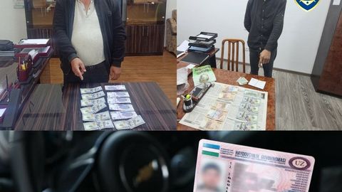 Жами 13 минг доллар ва 7 млн сўм: 3 та ҳудудда «права»ни ноқонуний олиб берган шахслар ушланди