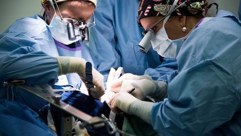 Америкалик олимлар жигар трансплантациясига муҳтож беморларни янги усулда даволамоқчи