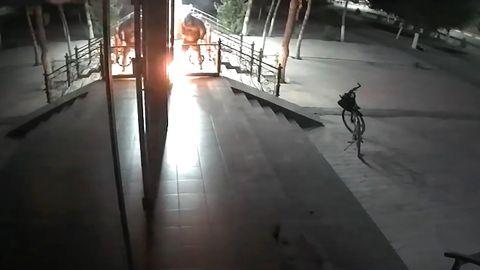 Toshkentda ko‘p qavatli uyda joylashgan do‘konni yoqib yuborgan shaxs Qashqadaryoda qo‘lga olindi