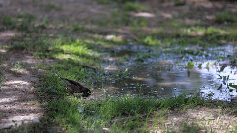 «Ўзгидромет» 21 сентябрь куни қандай об-ҳаво кутилаётганини маълум қилди