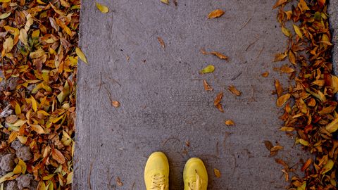 O‘zbekistonda kelayotgan hafta boshida qanday ob-havo bo‘ladi?