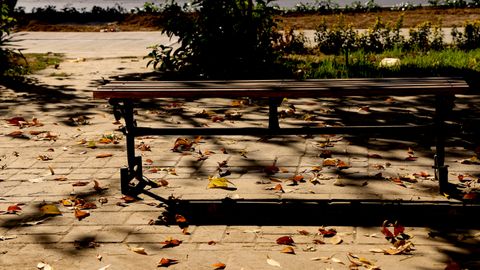 O‘zbekistonda hafta davomida qanday ob-havo kuzatilishi ma’lum qilindi