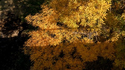 Ўзбекистонда 28 октябрда кузатиладиган об-ҳаво эълон қилинди