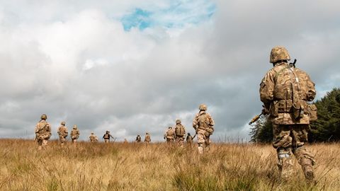 Niderlandiya Ukrainaga harbiy texnika uchun 500 million yevro ajratadi