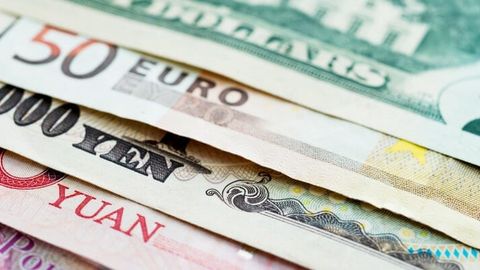 Individuals must indicate source of foreign currency, regulator says