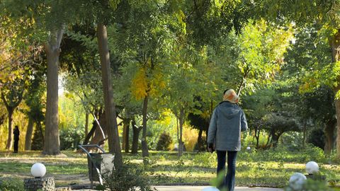 O‘zbekistonda dam olish kunlari qanday ob-havo bo‘ladi?