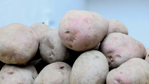 Ўзбекистонда 9 ойда 2,6 млн тонна картошка етиштирилди