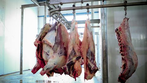 Ўзбекистонда 6 ойда 1,2 млн тонна гўшт етиштирилди