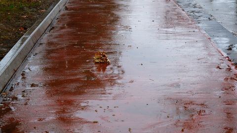 O‘zbekistonda kelayotgan hafta boshida qanday ob-havo bo‘ladi?