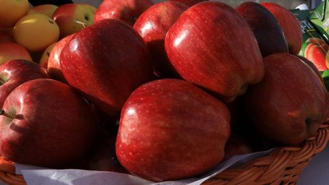 O‘zbekiston olmasi eng ko‘p qaysi davlatlarga eksport qilinayotgani ma’lum bo‘ldi