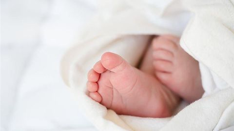 Samarkand registers most newborns in October