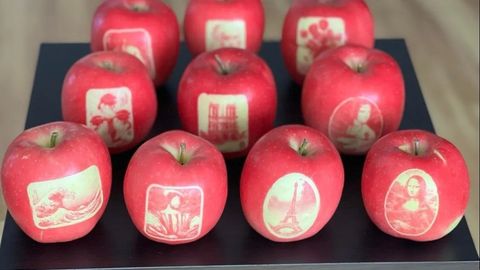 Yaponiyada mashhur suratlar tasviri tushirilgan olmalar yetishtirildi