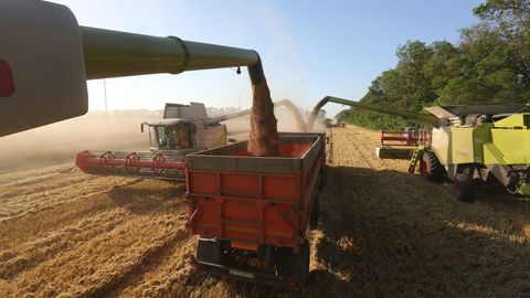 Bloomberg: Россия дон шартномасини узайтиришга рози бўлиши кутилмоқда