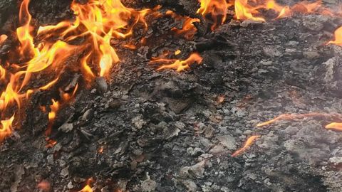 Navoiyda havoni ifloslantirgan 30 fuqaro jarimaga tortildi