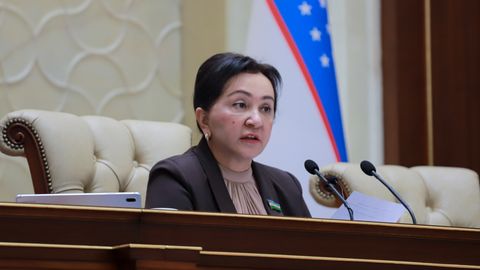 Tanzila Norboyeva O‘zbekistonda ixcham hukumat tuzilishi borasida fikr bildirdi