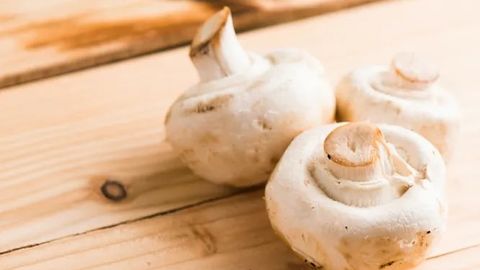 Qo‘ziqorinning teri, miya va suyak salomatligi uchun 6 ta foydasi