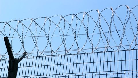 Jizzaxdagi koloniyadan 2 mahkum qochib ketdi