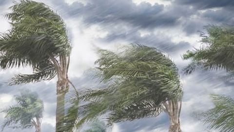 Natural disasters caused $313bn economic loss in 2022 - Aon