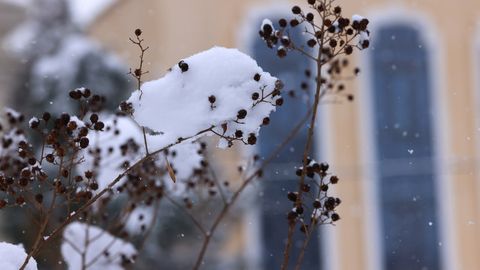 O‘zbekistonning qator hududlarida 4-yanvar kuni qor yog‘adi