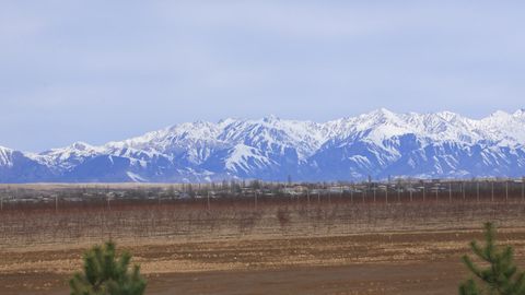 Ўзбекистонда ерлар деградациясига қарши курашиш тадбирларини мониторинг қилиш тартиби белгиланди