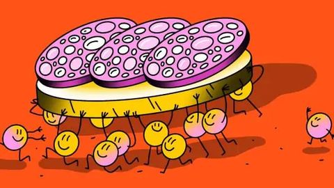 Leptin nima? Bu gormon qanday qilib koʻp ovqat yeyishga va semirishga majbur qiladi?