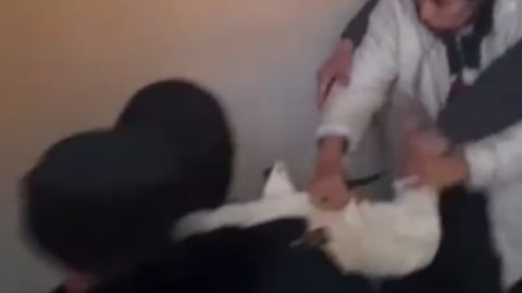 Toshkentda ichki ishlar xodimlariga qarshilik koʻrsatgan yigit olib ketildi (video)&nbsp;