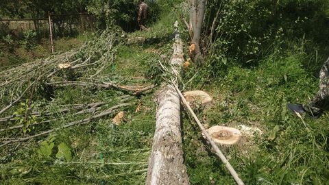 Ўзбекистонда 2022 йилда табиатга 40 млрд сўмлик зарар етказилди