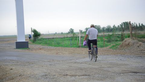O&lsquo;zbekistonda ishsizlik darajasi 9 foizga qisqardi