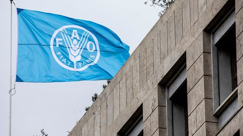 FAO to hold regional forum on food security in Ashgabat