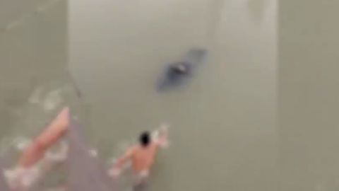 Namanganda o&lsquo;zini kanalga tashlagan erkak halok bo&lsquo;ldi (video)&nbsp;