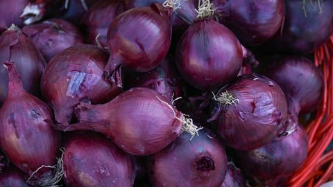 В Казахстане не планируется разрешать экспорт лука&nbsp;