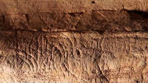 Over one hundred prehistoric engravings unveiled in northeastern Spain