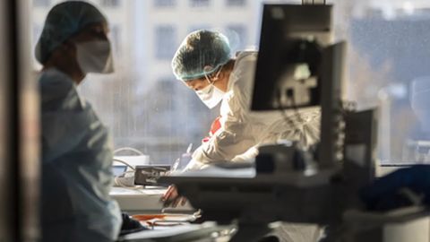 WHO warns of "high risk" of global cholera spread