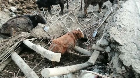 Из-за землетрясения в Таджикистане пострадали 3 человека
