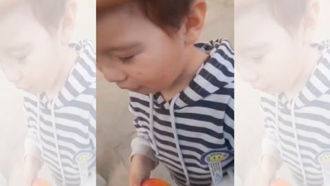 Andijondagi uy bog&lsquo;chada 2 yoshli bola kaltaklangani haqida xabarlar tarqaldi. Bog&lsquo;cha noqonuniy faoliyat yuritayotgani aniqlandi