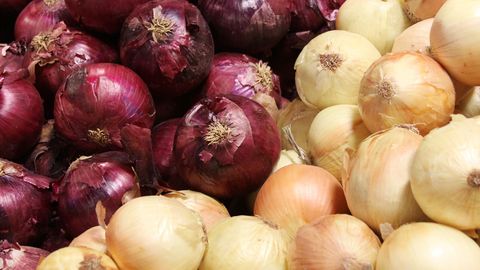 Harvesting of onion crops begins in Uzbekistan