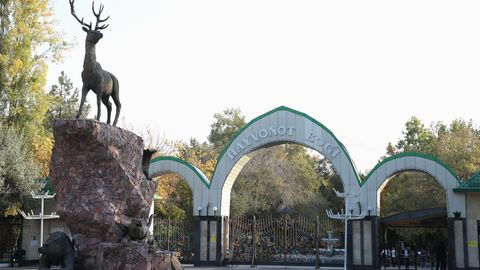 Ташкентский зоопарк повысил цены на входные билеты